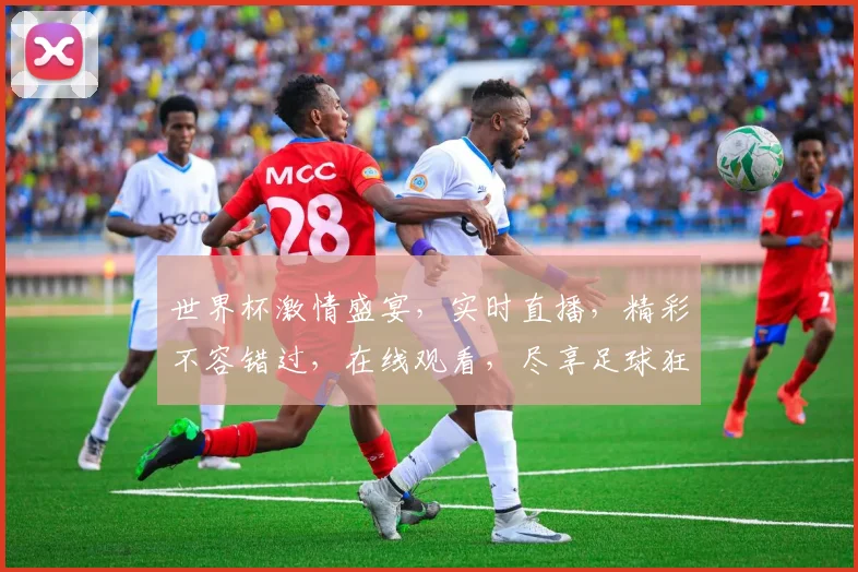 世界杯激情盛宴，实时直播，精彩不容错过，在线观看，尽享足球狂欢