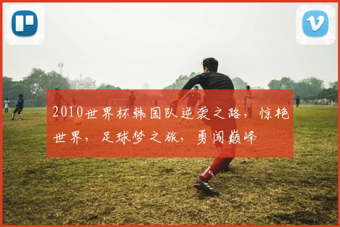 2010世界杯韩国队逆袭之路，惊艳世界，足球梦之旅，勇闯巅峰