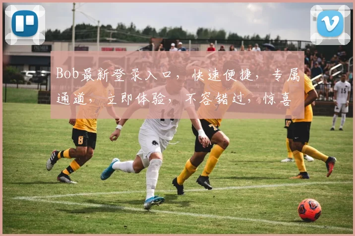 Bob最新登录入口，快速便捷，专属通道，立即体验，不容错过，惊喜不断