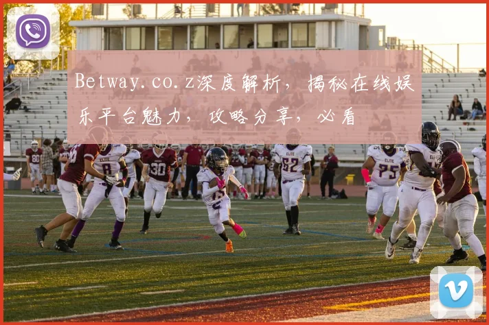 Betway.co.z深度解析，揭秘在线娱乐平台魅力，攻略分享，必看