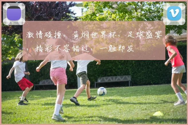 激情碰撞，黄焖世界杯，足球盛宴，精彩不容错过，一触即发